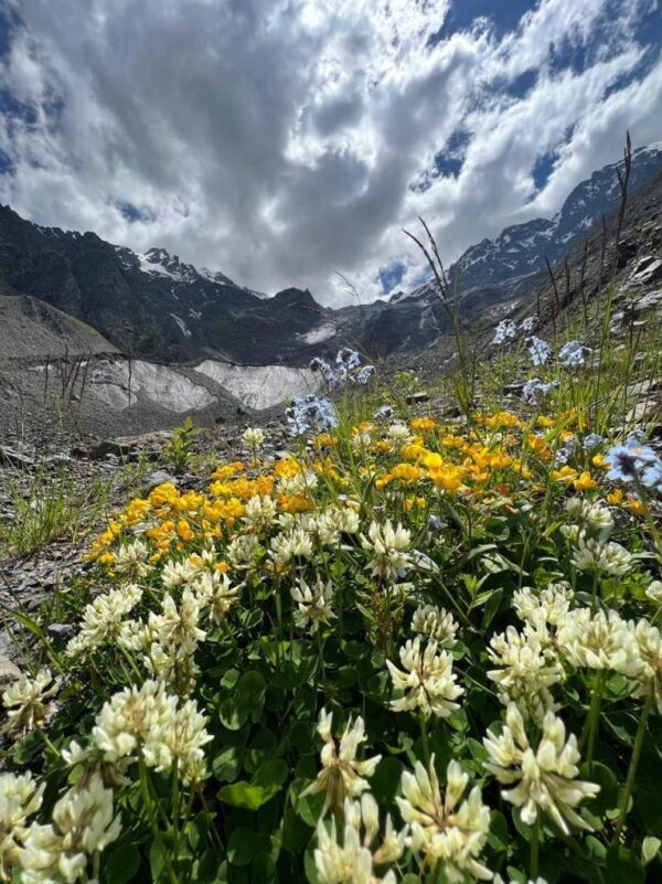 ekskursii_v_gory (4)