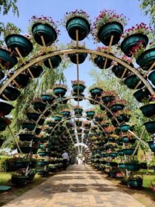 Экскурсия в Чечню из Владикавказа с Мамисон Тревел