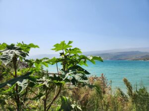 Экскурсия в Дагестан из Владикавказа - Мамисон Тревел