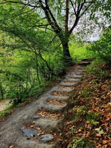 Экскурсии в Ингушетию из Владикавказа с Мамисон Тревел