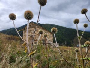 Экскурсии в Ингушетию из Владикавказа с Мамисон Тревел