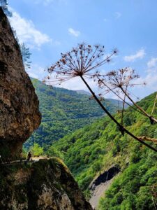 Экскурсия в Кабардино-Балкарию из Владикавказа: Мамисон Тревел