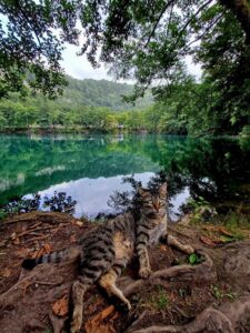 Экскурсия в Кабардино-Балкарию из Владикавказа: Мамисон Тревел