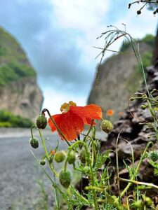 Поездки в горы Северной Осетии | Мамисон Тревел