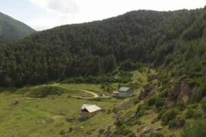 Поездки в горы Северной Осетии | Мамисон Тревел