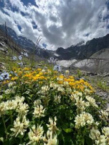 Туры в горы Северной Осетии | Мамисон Тревел, Владикавказ