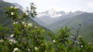 Экскурсии в Мамисон из Владикавказа от Мамисон Тревел