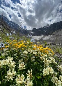 Купить тур в горы | Мамисон Тревел, Владикавказ