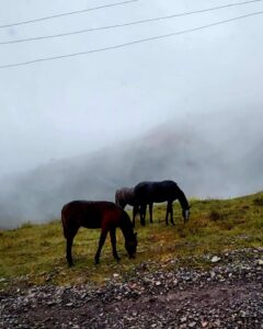 Путешествие по Осетии | туроператор Мамисон Тревел, Владикавказ