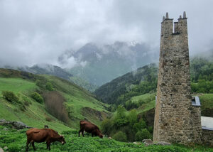 Туристические программы в Осетию – Мамисон Тревел