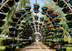 Туристические программы в Осетию – Мамисон Тревел