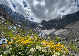 Туристические программы в Осетию – Мамисон Тревел